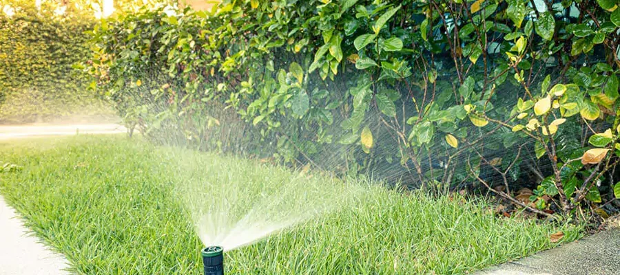 Automatic sprinkler system watering