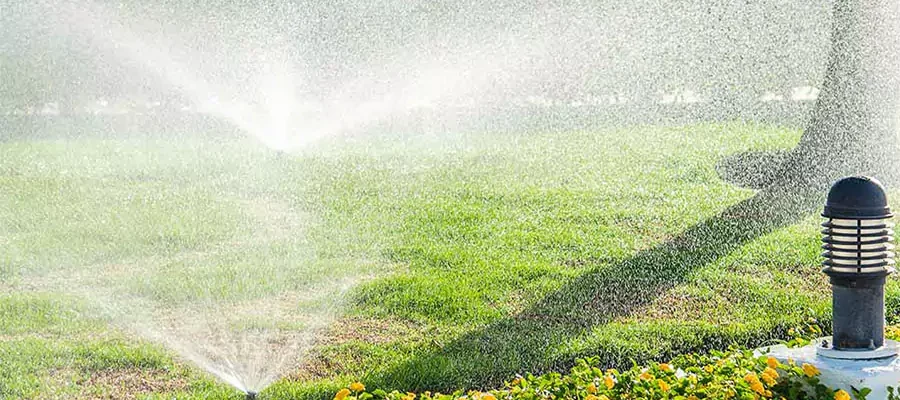 Lawn sprinkler system watering grass and flowers in Georgetown, TX, highlighting common irrigation issues and professional repair solutions.