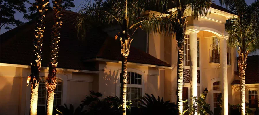 palm trees and house lit by landscape lights in Georgetown