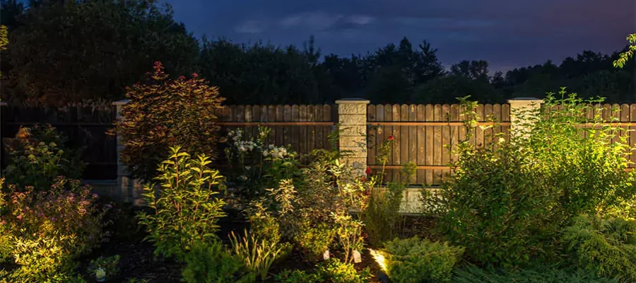 outdoor lights in landscape