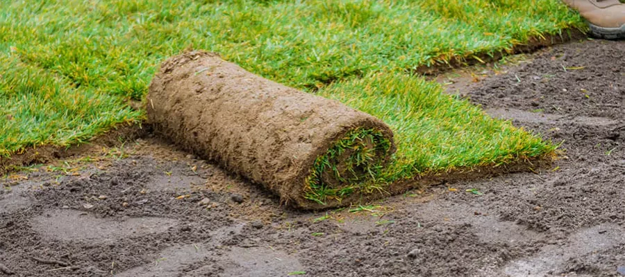 piece of sod rolled up