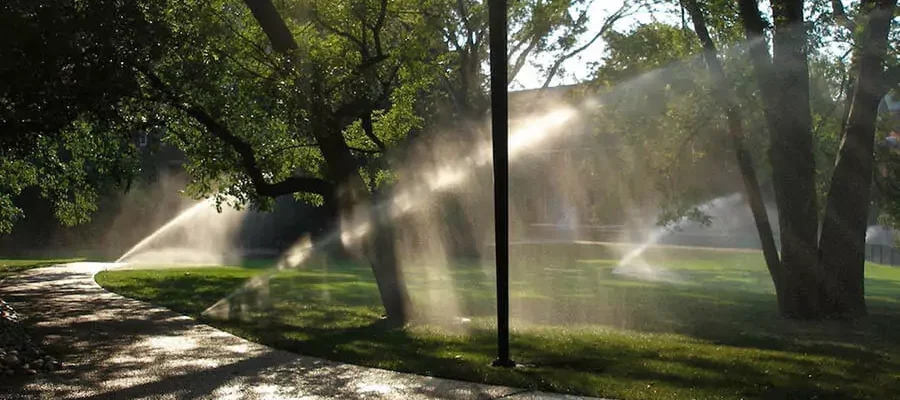 Large grassy area with multiple sprinklers on